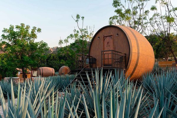 Tequila, pueblo mágico con paisaje agavero