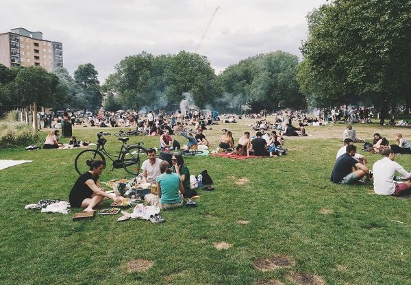 ¿Eres de los que se acuesta en el pasto de los parques? ¡Entonces tú también deforestas!