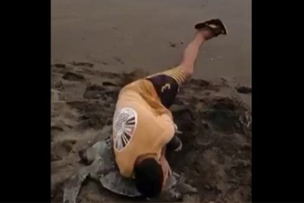 Indigna #VIDEO de menor golpeando a una tortuga