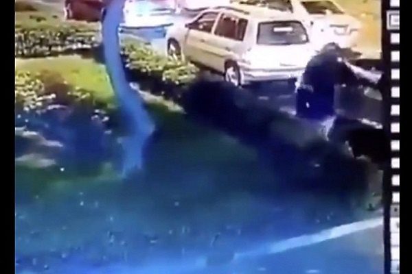 Ladrón es abatido por automovilista en el tráfico #VIDEO