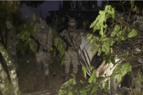 Revelan cómo fue el robo del avión en Morelos