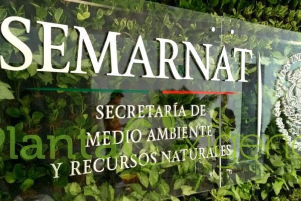 Renuncia subsecretario de Fomento y Normatividad Ambiental de Semarnat