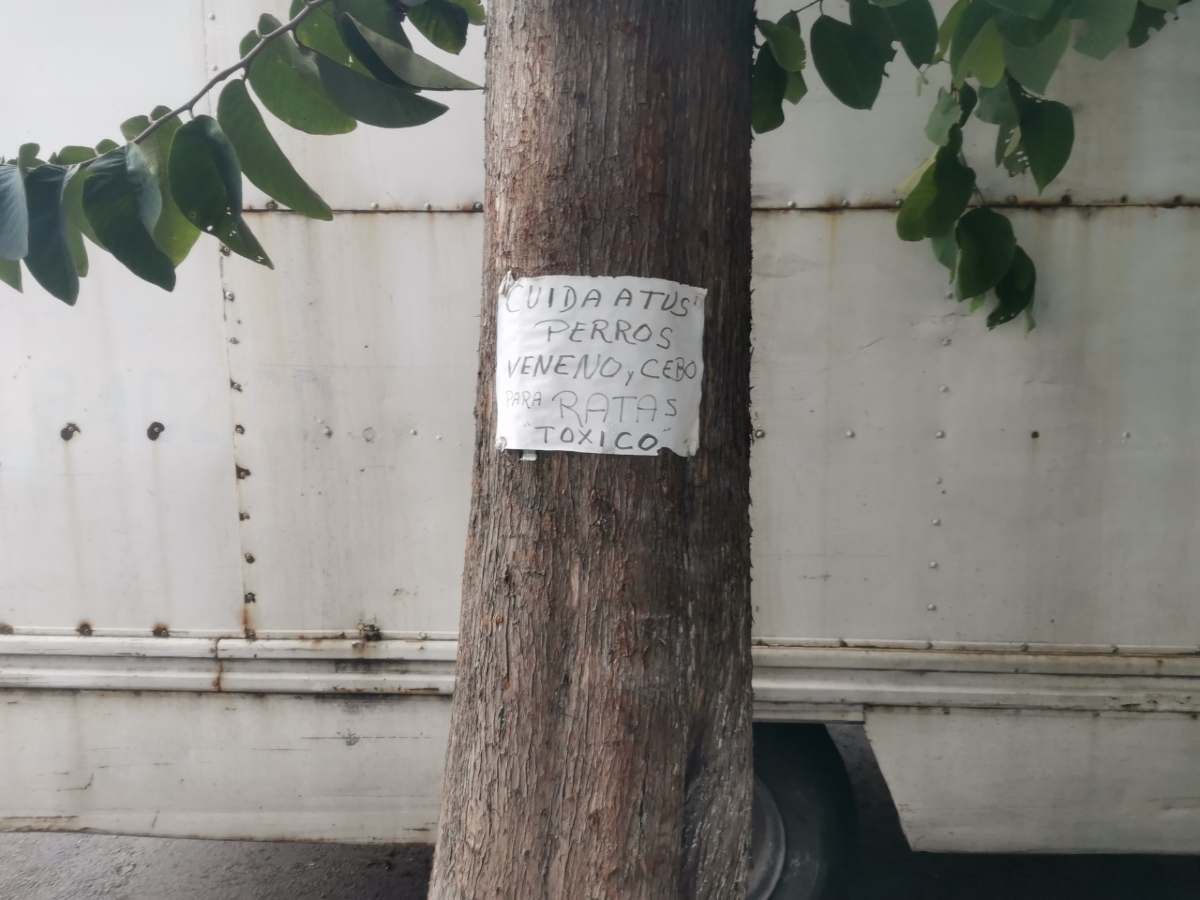 Vecina esparció veneno en la calle y advirtió «Cuida a tus perros»