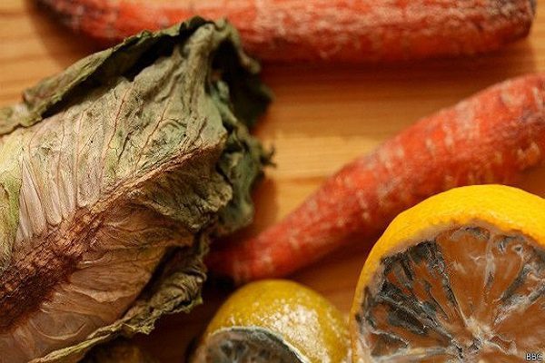 Por COVID-19 aumenta el desperdicio de alimentos frescos