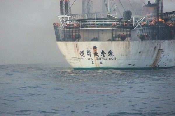 Piratas chinos saquean durante un mes aguas de Islas Galápagos