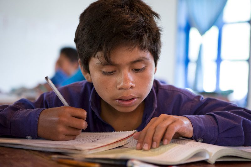 El proceso de alfabetización en tiempos de la COVID-19