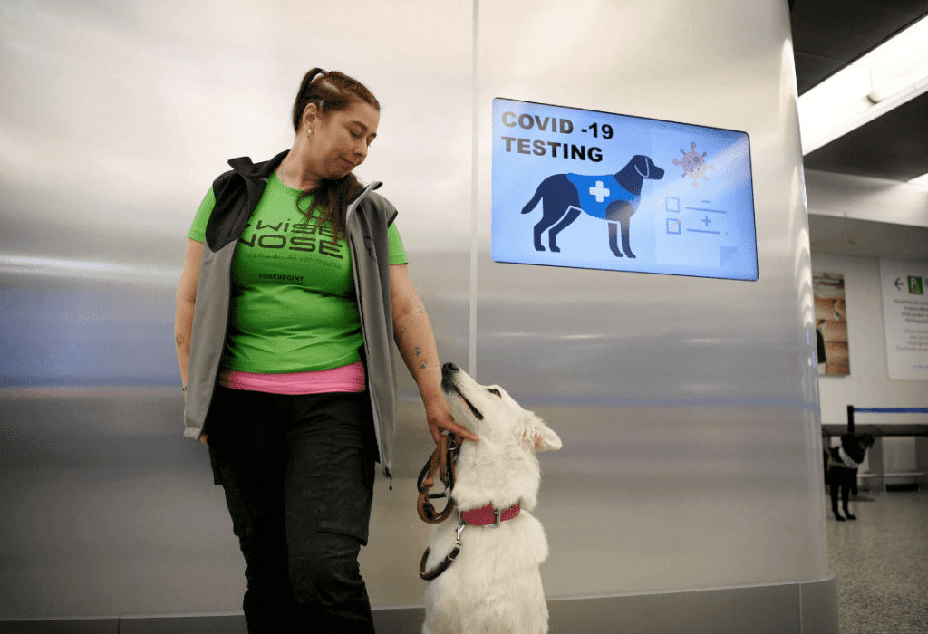 Finlandia utiliza perros para detectar coronavirus en aeropuertos