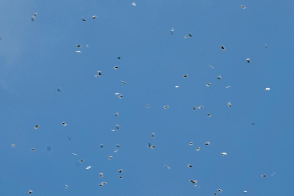 Decenas de bolsitas con marihuana cayeron del cielo en Israel