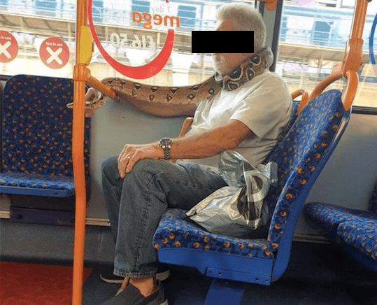 Sujeto sorprende al llevar una serpiente a manera de cubrebocas en el transporte público