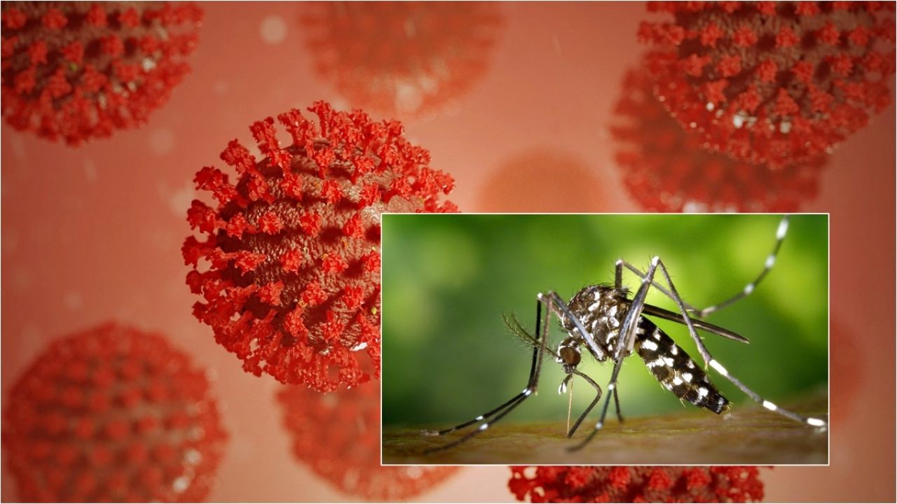 Reportan segundo caso de "Covidengue" en Colima