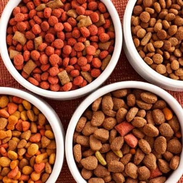 SCJN afirma que alimento para mascotas no es deducible de impuestos