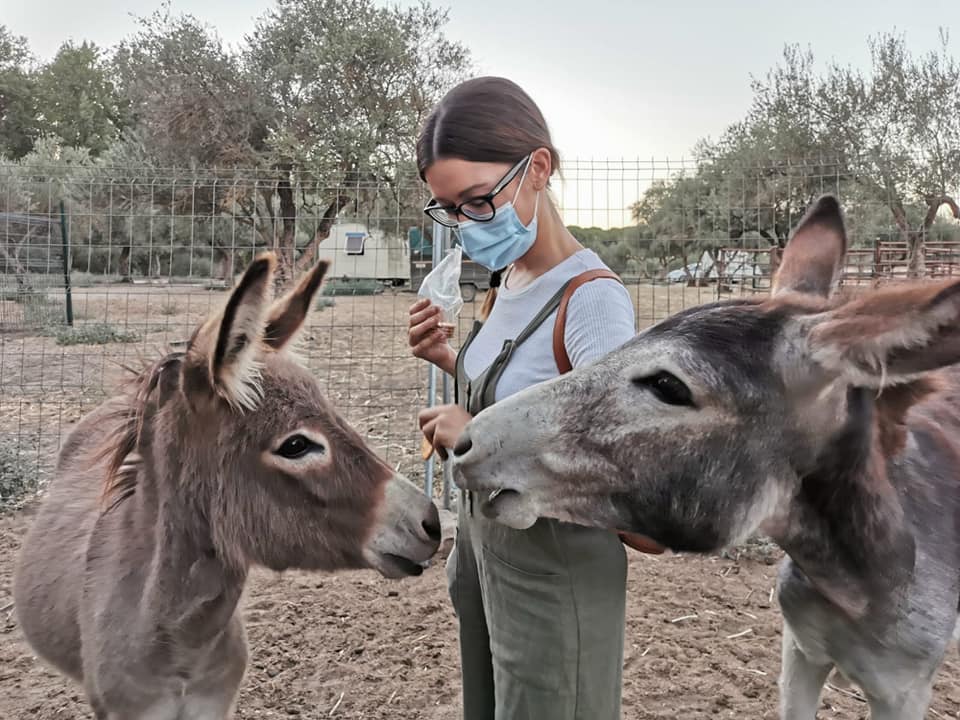 En el Día del Médico lanzan "asnoterapia" ante el estrés por Covid-19