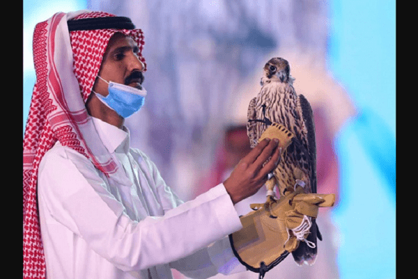Halcón en Arabia Saudita es subastado por más de 170 mil dólares
