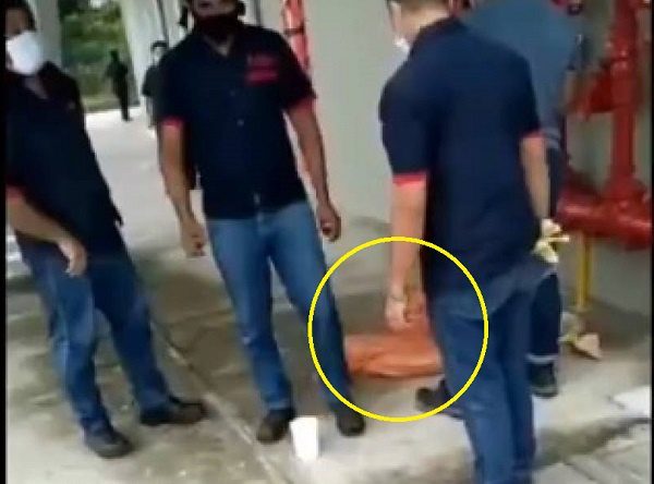 Asfixiándolos dentro de bolsas de plástico, así mataron a más de 10 perritos