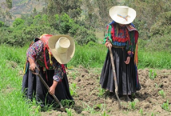 Día Internacional de las Mujeres Rurales: 5 acciones con las que podemos mejorar su condición