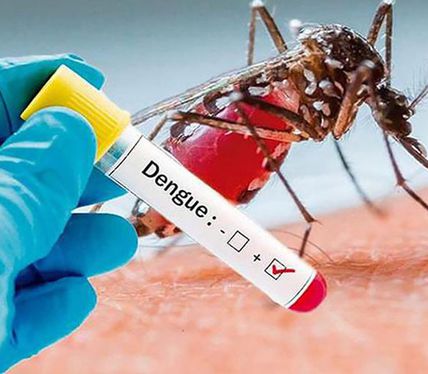 Reportan segundo caso de dengue en Yucatán