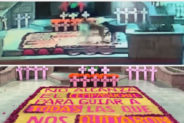 Revelan a autores de destrucción de ofrenda feminista: perritos #VIDEO