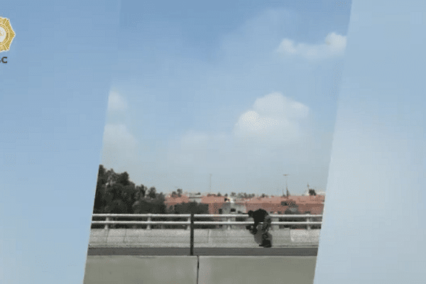 Oficiales rescatan gatito herido en segundo piso del Periférico #VIDEO