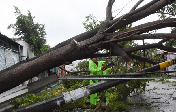 "Delta" deja un muerto en su paso por Yucatán
