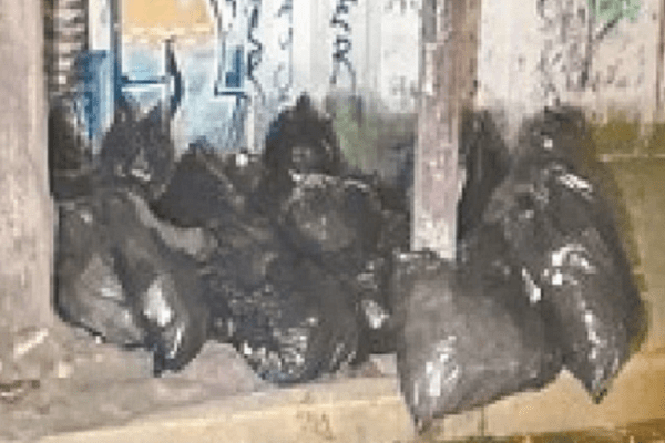 Medicamentos hallados en Azcapotzalco pertenecen a lote robado