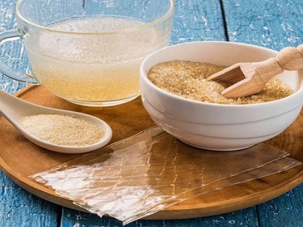 ¡La gelatina también es gastronomía internacional! Conoce sus tipos y sus usos