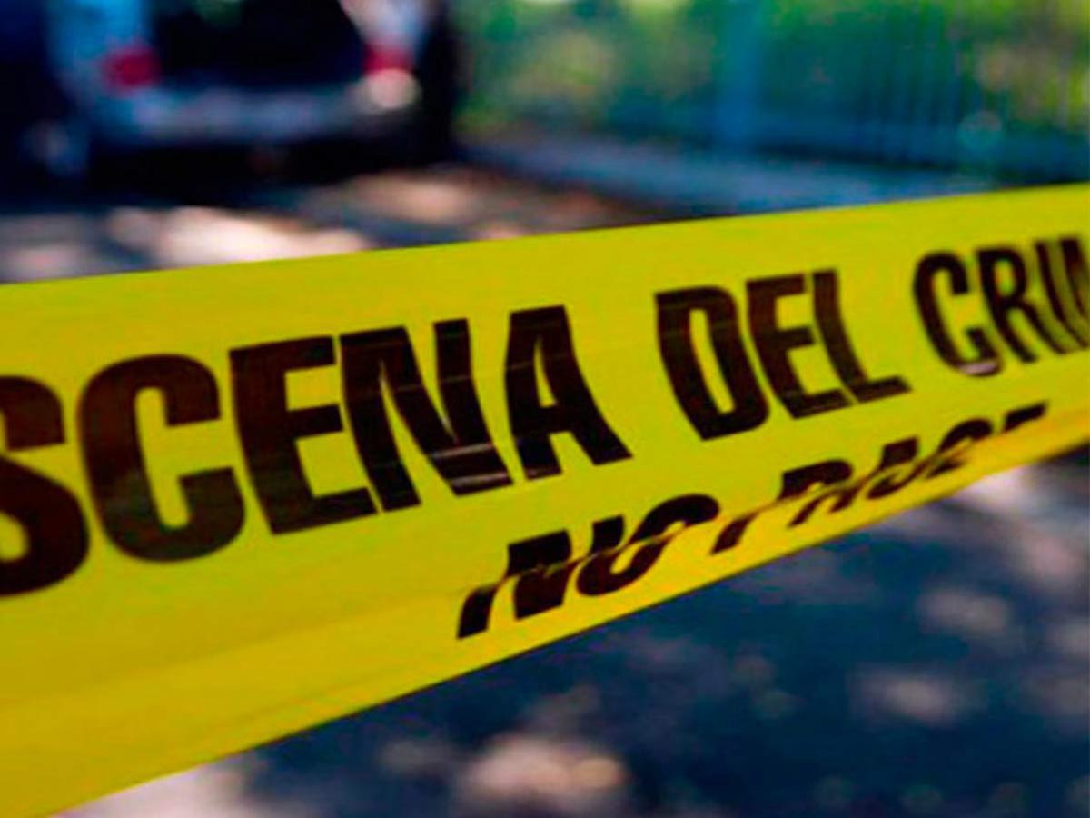 En 2019 se registraron 36 mil 661 homicidios, 24 menos que en 2018