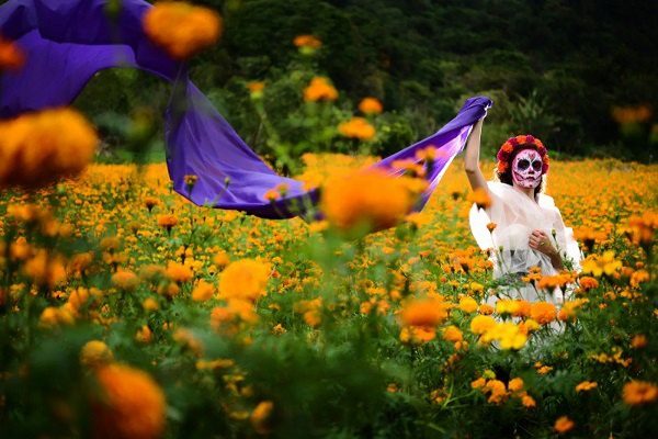 Cempasúchitl: Una leyenda de amor más allá de la muerte