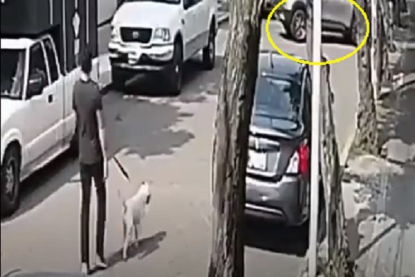 Sujeto atropella a joven y a su mascota en calles de la Álvaro Obregón #VIDEO