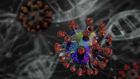 Registran mayor dispersión de SARS CoV-2 por mutación de virus