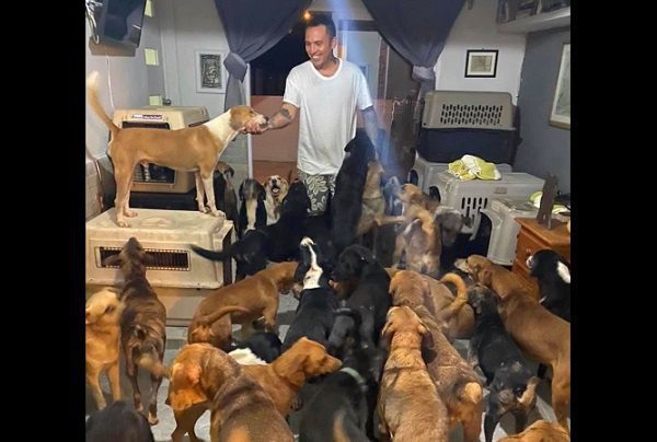 Rescatista da refugio a perros, gatos, gallinas y hasta borregos durante el paso de "Delta"