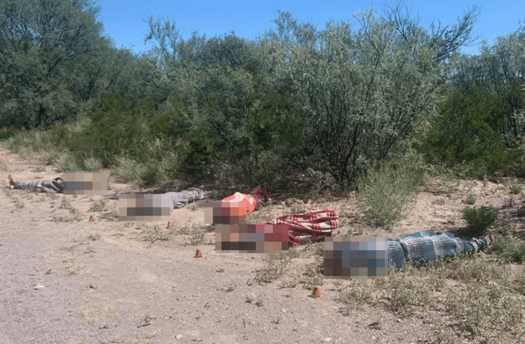 Hallan seis muertos en límites de Zacatecas y San Luis Potosí