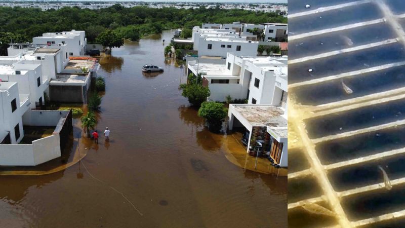 Tras inundaciones peces nadan en calles de Mérida #VIDEO