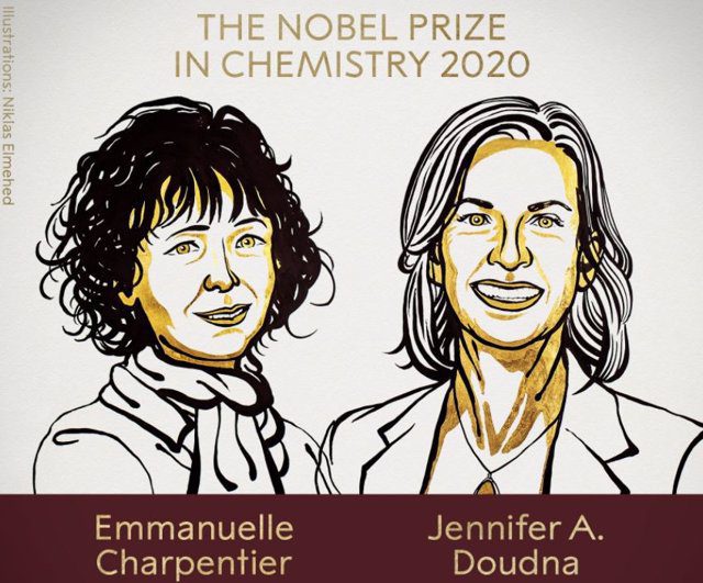 Reescribieron 'el código de la vida' y ganaron el Premio Nobel de Química