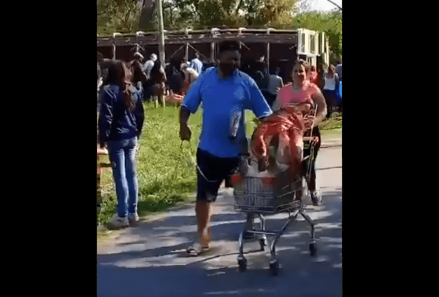 Un camión cargado de cerdos vuelca y la gente los degolló en plena calle #VIDEO