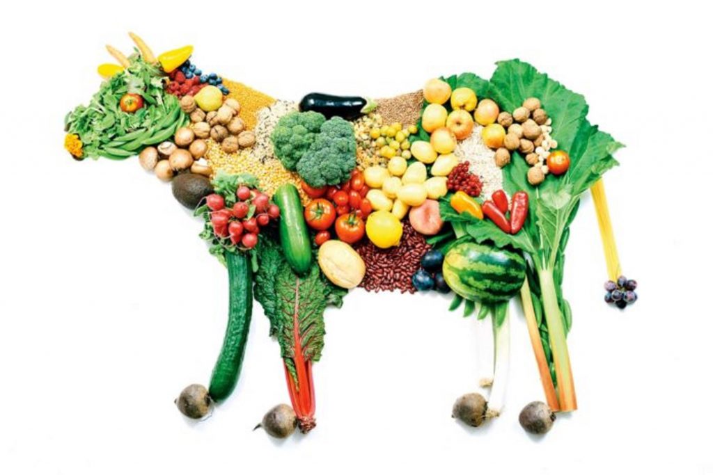 5 documentales de vegetarianismo para la vida Wellness