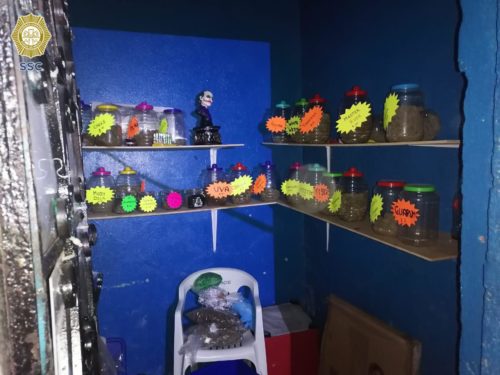 Dos detenidos al desmantelar una narcotiendita en vecindad de Plaza Garibaldi