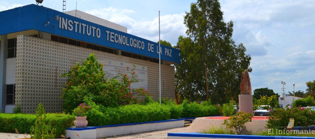 Universitarios se quejan por "mucha tarea", los califican como "zánganos" #VIDEO