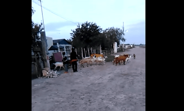 Preocupado por su ausencia, profesor busca a alumno que dejó de entregar tarea y así lo encontró