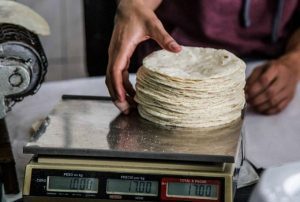 Titular de Profeco señala que no hay motivos para incremento en el precio de la tortilla