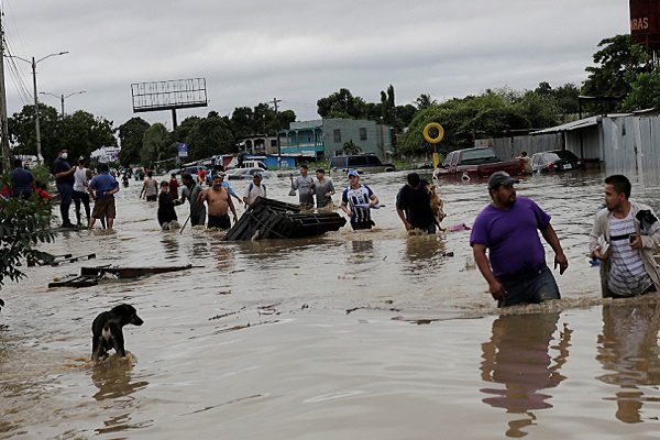 La tormenta "ETA" se degrada a Depresión tropical
