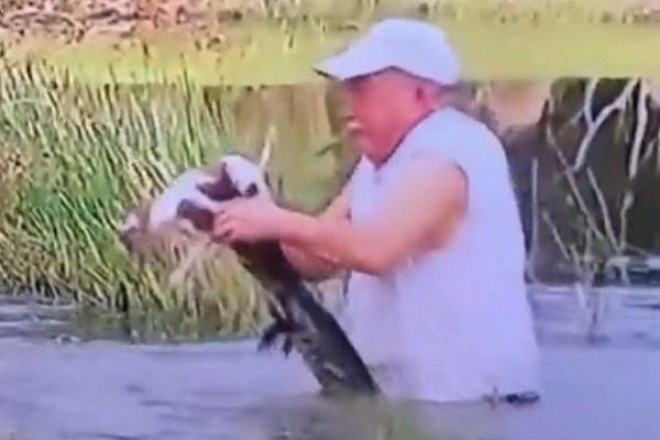 Hombre salva a su perrito de las fauces de un cocodrilo #VIDEO