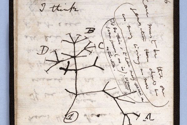 Robaron cuadernos de Darwin precursores de la Teoría de la Evolución