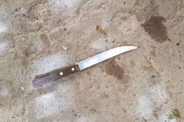 Cae hombre que atacó a su madre con un cuchillo en la Guerrero