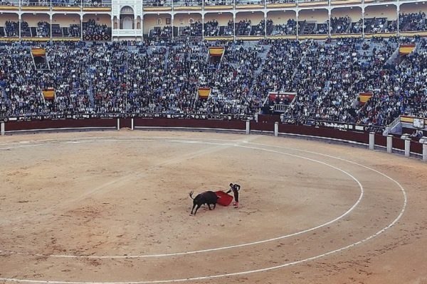Unesco niega nombrar tauromaquia patrimonio cultural