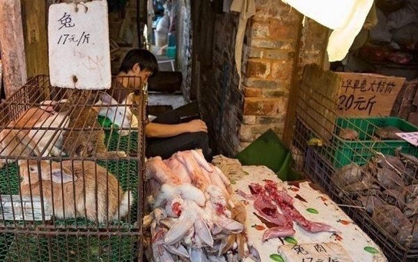 A un año del primer caso de Covid-19 en Wuhan, mercado opera sin ninguna medida sanitaria #VIDEO