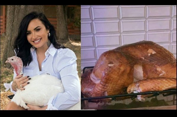Acusan de incongruencia animalista a Demi Lovato por adoptar un pavo y cocinarlo