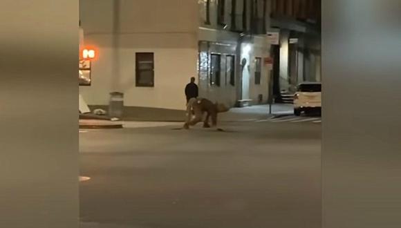 "Hombre rata" sorprende en las calles de Nueva York #VIDEO