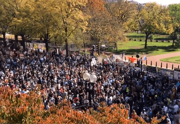 Cientos salen a las calles a celebrar el triunfo de Joe Biden #VIDEO