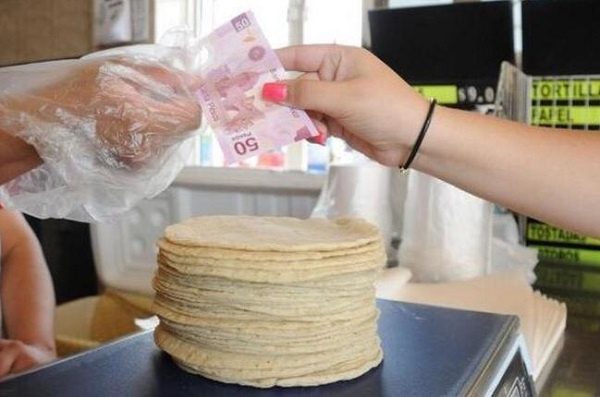 ¡Prepare su bolsillo! Precio de la tortilla sube a partir de diciembre