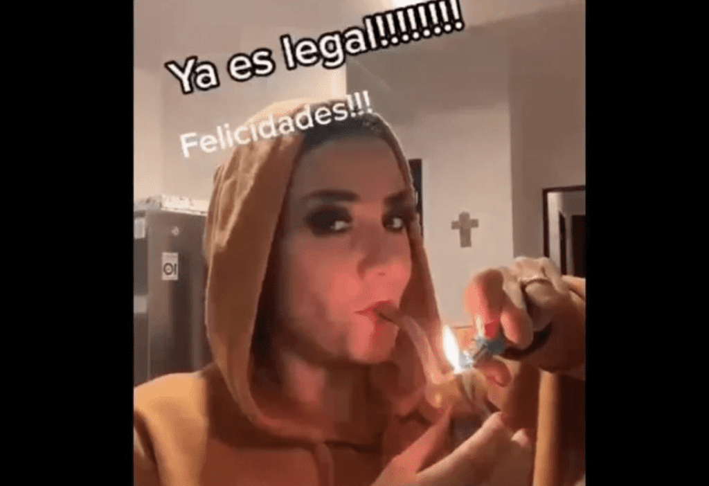 Para celebrar despenalización de mariguana, diputada fuma y se graba #VIDEO